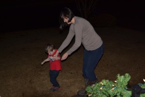 putting out reindeer food.