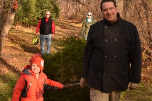Davey helping Daddy with bring the tree around.