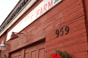 Kunz's Christmas Tree Farm.