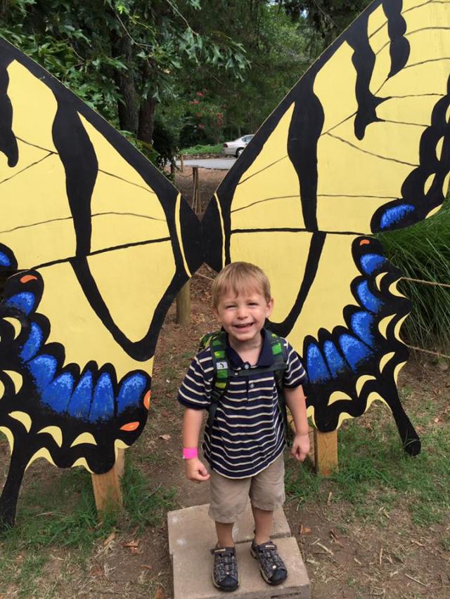 butterfly adventure henry